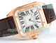 Swiss Copy Cartier Santos 100th Anniversary Yellow Gold Case Ladies Watch 35 (3)_th.jpg